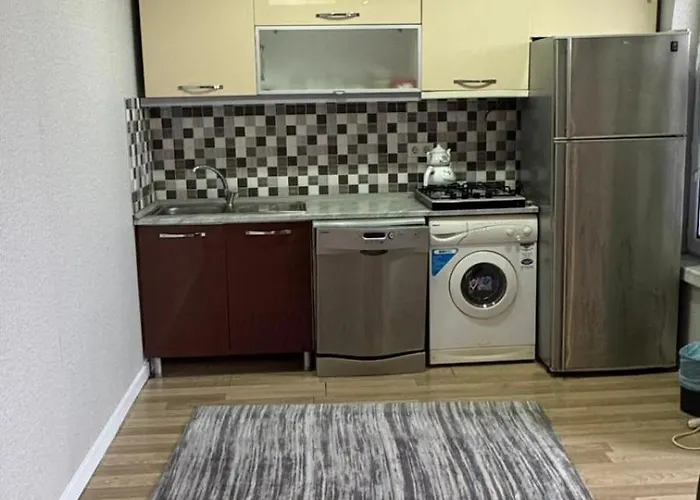 Apartment Milenyum House *