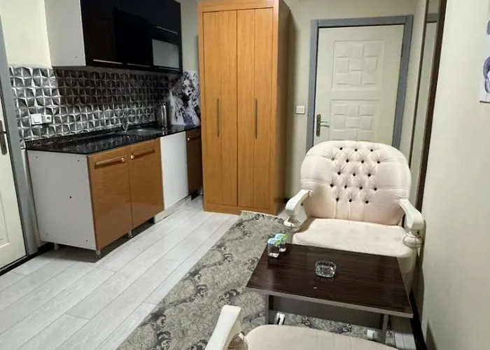 Milenyum House Apartament Ankara